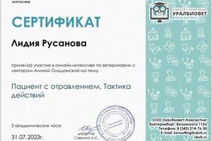 Диплом / сертификат №2 — Русанова Лидия Викторовна