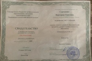 Диплом / сертификат №1 — Сергеенко Виктория Олеговна