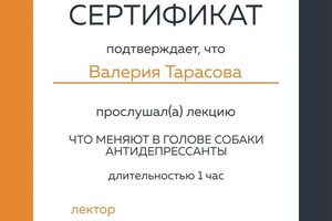 Диплом / сертификат №2 — Тарасова Валерия