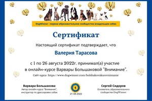 Диплом / сертификат №3 — Тарасова Валерия