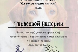 Диплом / сертификат №6 — Тарасова Валерия