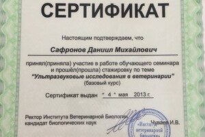 Сертификат о повышении квалификации — Сафронов Даниил Михайлович