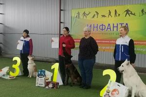 Портфолио №10 — Саляева Наталья Сергеевна