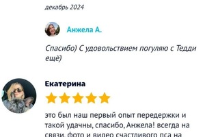 Диплом / сертификат №1 — Ачкасова Анжела Юрьевна