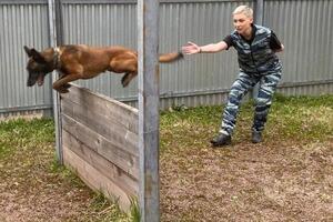 Собаку необходимо загружать умственно и физически — Анастасия Владимировна