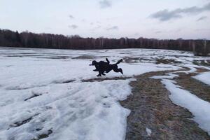 Сестрёнки отрываются по полной. — Боева Оксана Борисовна