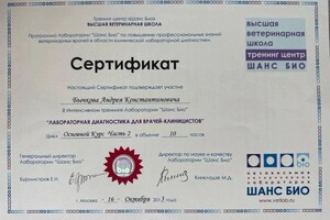 Диплом / сертификат №1 — Бычков Андрей Константинович