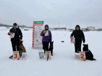 И снова первое место) личная собака — Центр дрессировки собак SPORT DOG