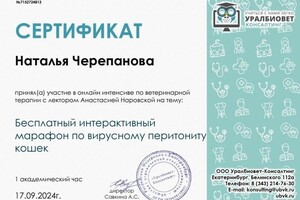 Диплом / сертификат №1 — Черепанова Наталья Николаевна