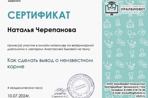 Диплом / сертификат №13 — Черепанова Наталья Николаевна