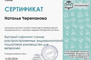 Диплом / сертификат №18 — Черепанова Наталья Николаевна