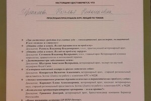 Диплом / сертификат №5 — Черепанова Наталья Николаевна