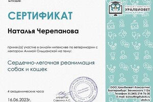 Диплом / сертификат №8 — Черепанова Наталья Николаевна