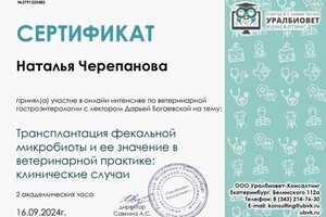 Диплом / сертификат №9 — Черепанова Наталья Николаевна