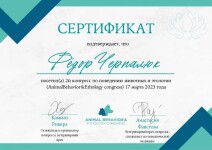 Диплом / сертификат №2 — Черпалюк Федор Алексеевич