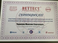 Диплом / сертификат №106 — Чурилов Максим Сергеевич