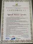 Диплом / сертификат №113 — Чурилов Максим Сергеевич