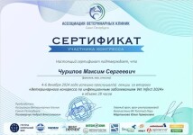 Диплом / сертификат №118 — Чурилов Максим Сергеевич