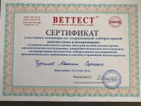 Диплом / сертификат №120 — Чурилов Максим Сергеевич