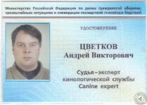 Удостоверение судьи - эксперта МЧС — Цветков Андрей Викторович