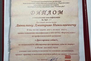 Диплом / сертификат №4 — Данилин Дмитрий Николаевич