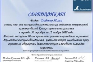 Диплом / сертификат №4 — Диденко Юлия Николаевна