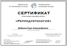 Диплом / сертификат №15 — Доброва Кира Александровна