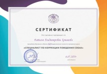 Диплом / сертификат №1 — Ермакова Наталья Владимировна