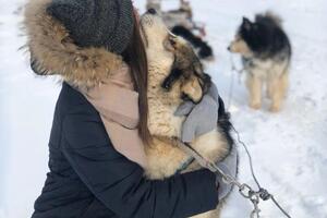 Очень люблю животных — Ферапонтова Татьяна Александровна