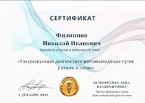 Диплом / сертификат №2 — Филиппов Николай Иванович