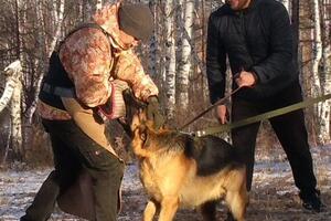 тренировка с молодой собакой — Гомбоев Андрей Викторович