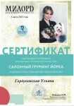 Диплом / сертификат №2 — Гордуновская Ульяна Александровна