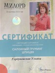 Диплом / сертификат №4 — Гордуновская Ульяна Александровна