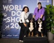 World dog show 2023 — Гришкина Юлия Сергеевна