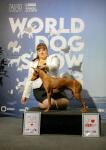 World dog show 2023 — Гришкина Юлия Сергеевна