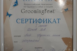 Диплом / сертификат №3 — Ионов Лев Юрьевич