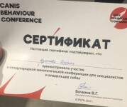 Диплом / сертификат №10 — Изотова Диана Анатольевна