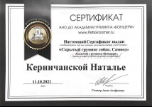 Диплом / сертификат №110 — Керничанская Наталья Васильевна