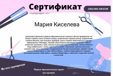 Диплом / сертификат №103 — Киселева Мария Ивановна