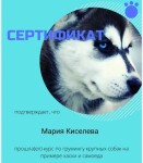 Диплом / сертификат №113 — Киселева Мария Ивановна