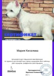 Диплом / сертификат №116 — Киселева Мария Ивановна