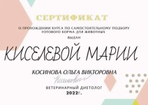 Диплом / сертификат №119 — Киселева Мария Ивановна