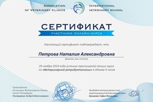 Диплом / сертификат №14 — Конопляник Наталия Александровна