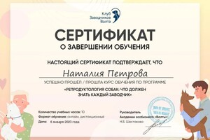 Диплом / сертификат №15 — Конопляник Наталия Александровна