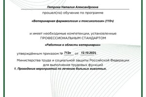 Диплом / сертификат №3 — Конопляник Наталия Александровна