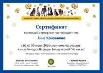 Диплом / сертификат №9 — Коновалова Анна Вячеславовна