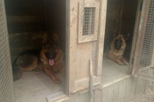 отработка команды \