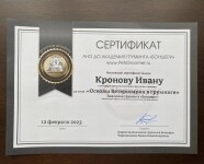 Диплом / сертификат №2 — Кронов Иван Андреевич