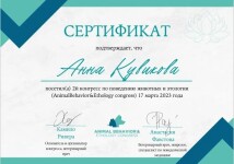 Диплом / сертификат №1 — Кувикова Анна Константиновна