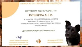 Диплом / сертификат №5 — Кувикова Анна Константиновна